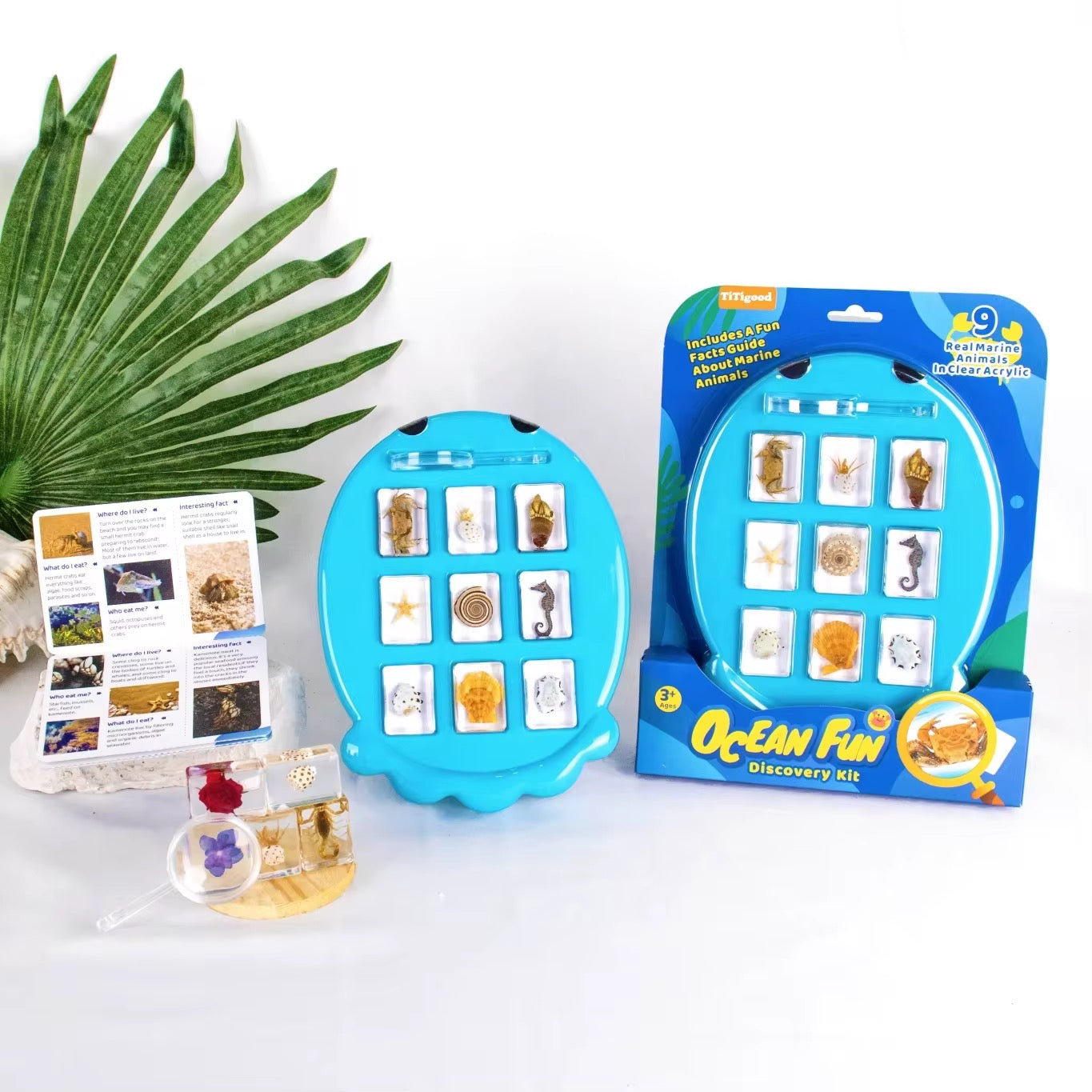 Nature Discovery Kit – Bugs, Ocean or Plants