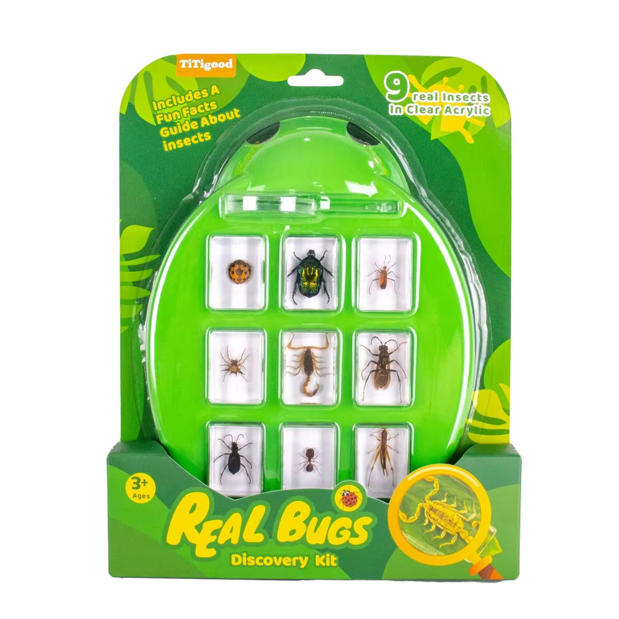Nature Discovery Kit – Bugs, Ocean or Plants